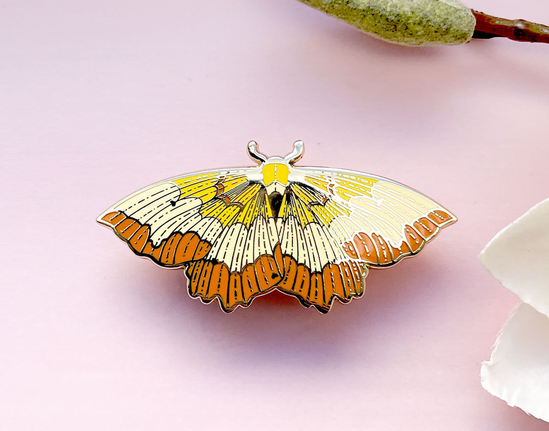Bordered Beauty Moth (Epione repandaria) Enamel Pin