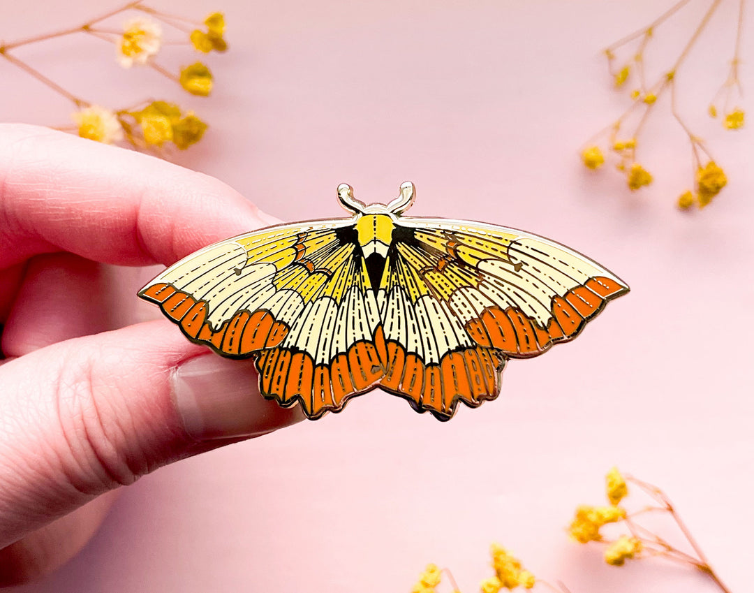 Bordered Beauty Moth (Epione repandaria) Enamel Pin