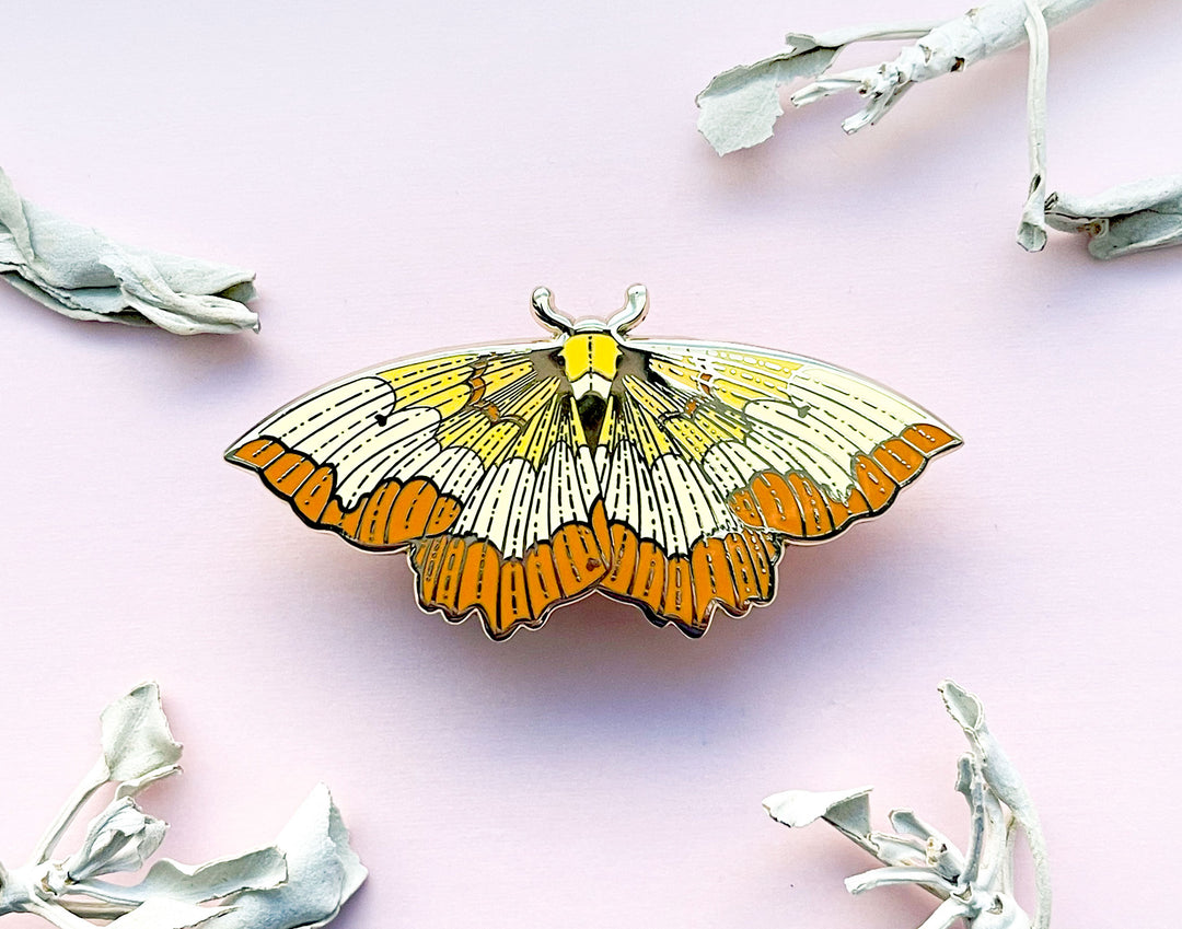 Bordered Beauty Moth (Epione repandaria) Enamel Pin