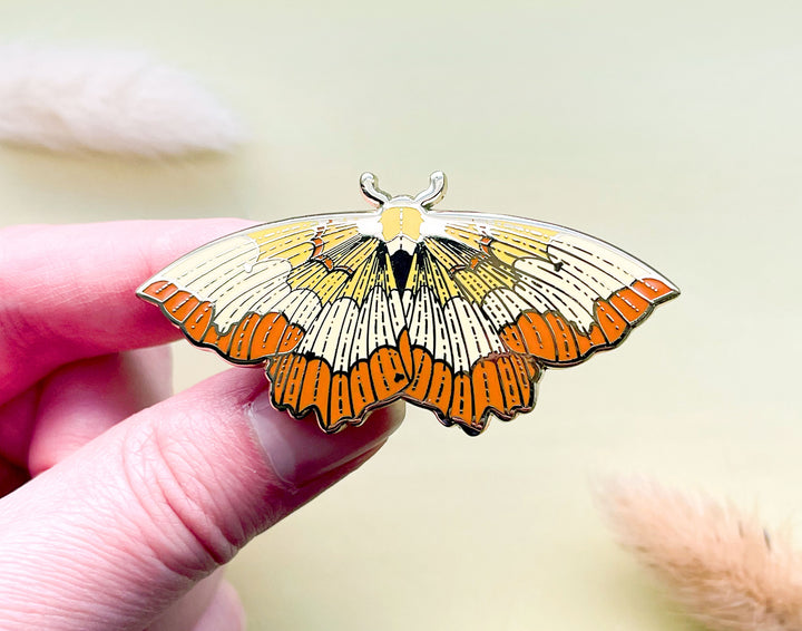Bordered Beauty Moth (Epione repandaria) Enamel Pin
