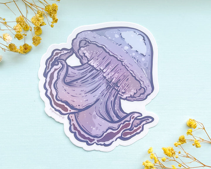 Cannonball Jellyfish Clear Vinyl Sticker