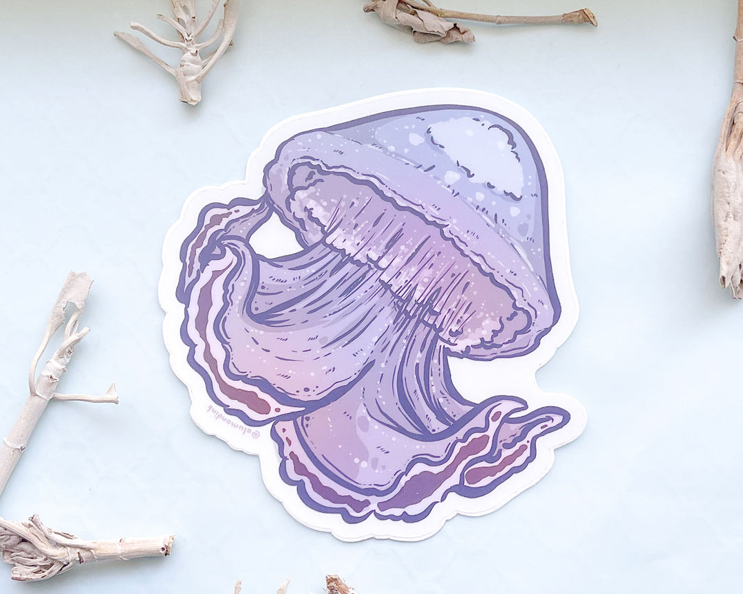 Cannonball Jellyfish Clear Vinyl Sticker