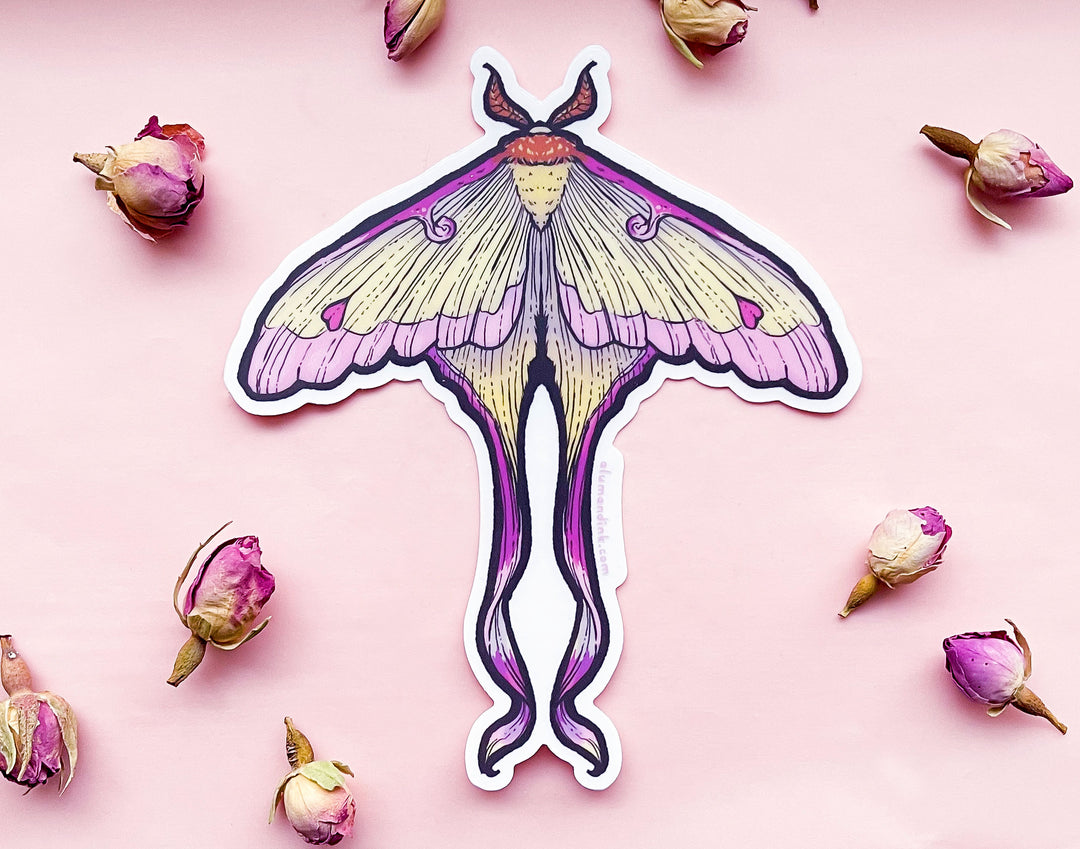 Moon Moth Sticker Chinese Moon Moth Clear Vinyl Sticker – Alum and Ink