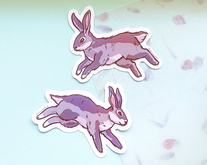 Cottontail Rabbits Clear Vinyl Sticker Set