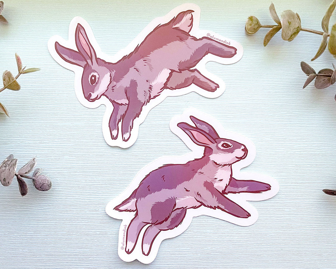 Cottontail Rabbit | Vinyl Sticker Cottontail Rabbit | Vinyl Sticker