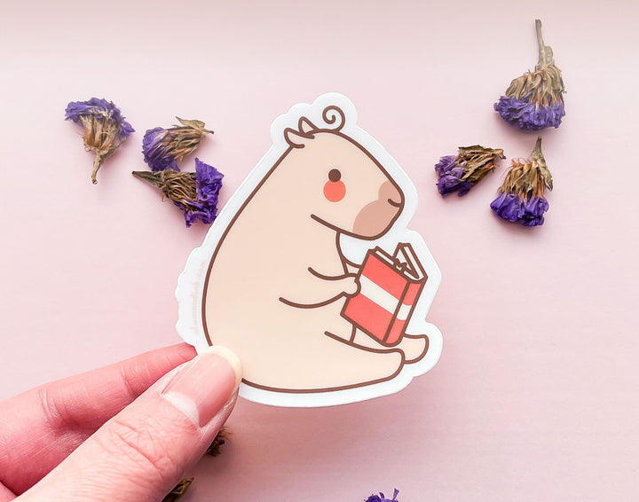 Reading Curly Clear Vinyl Sticker