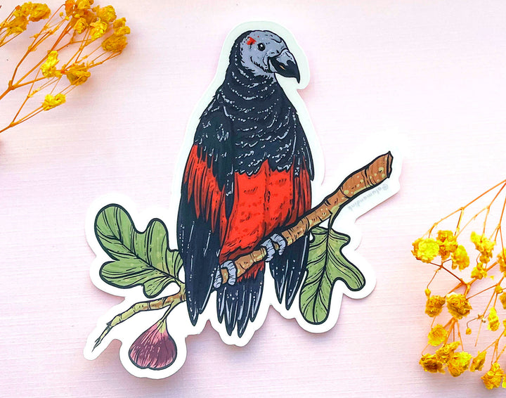 Dracula Parrot Clear Vinyl Sticker