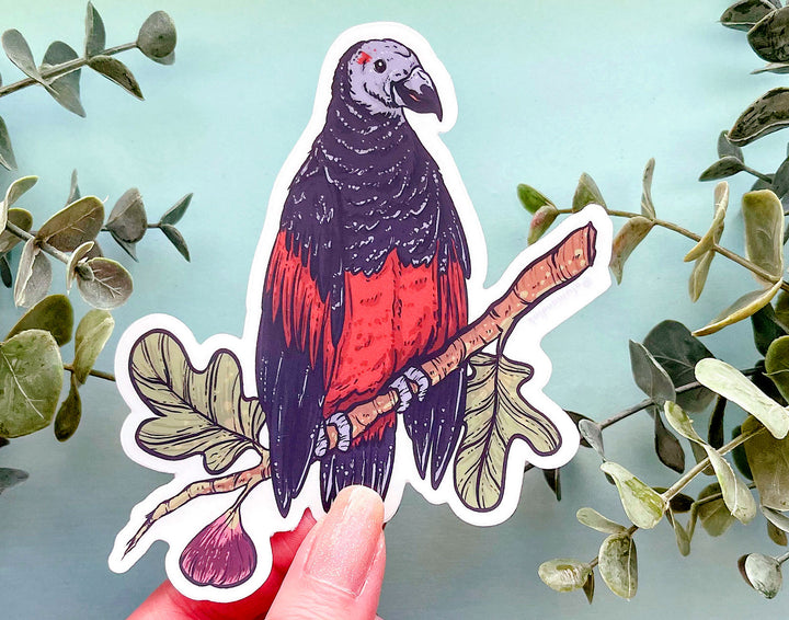 Dracula Parrot Clear Vinyl Sticker
