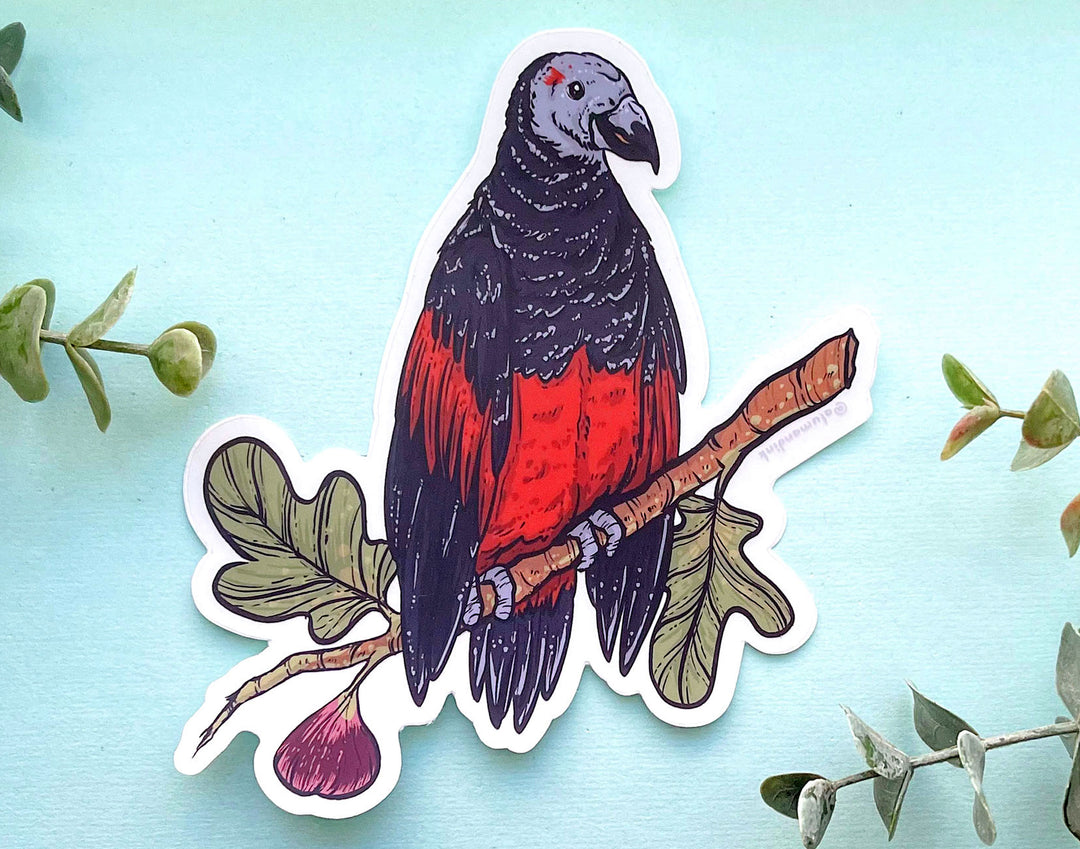 Dracula Parrot Clear Vinyl Sticker