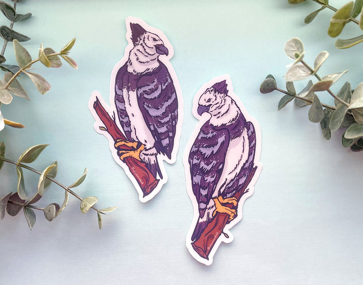 Harpy Eagles Clear Vinyl Sticker Set