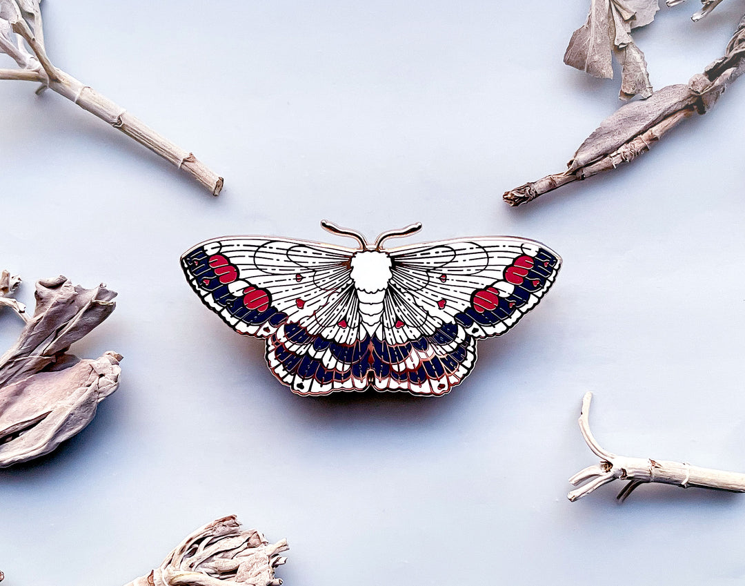 Middle Lace Border Moth (Scopula decorata) Enamel Pin