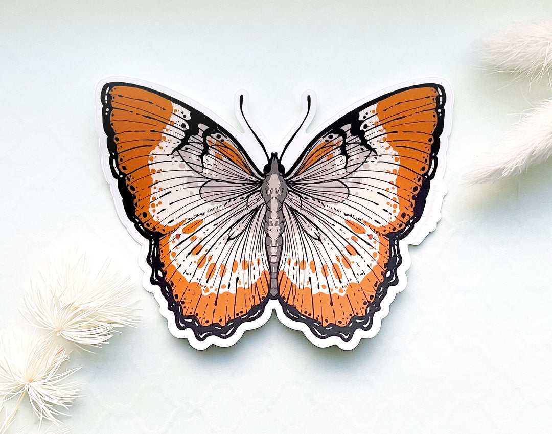Mestra Dorcas Butterfly Clear Vinyl Sticker