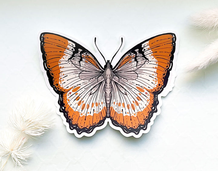 Mestra Dorcas Butterfly Clear Vinyl Sticker