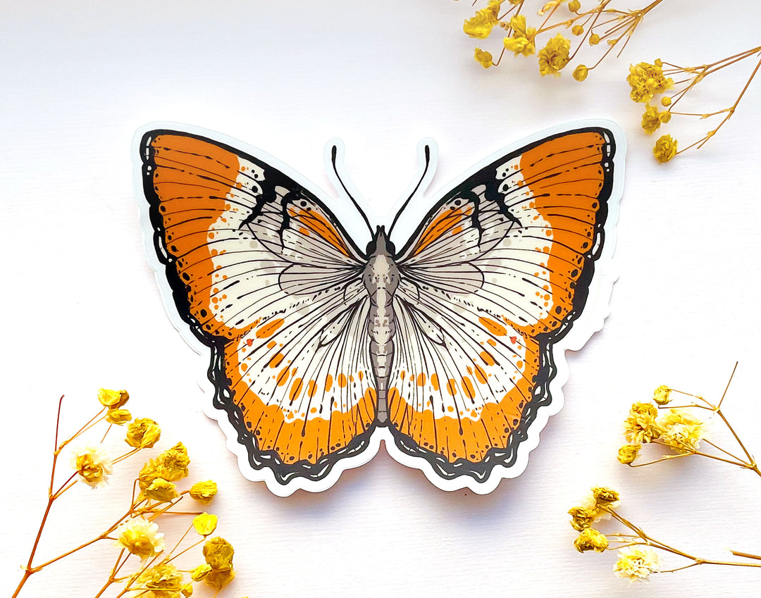 Mestra Dorcas Butterfly Clear Vinyl Sticker
