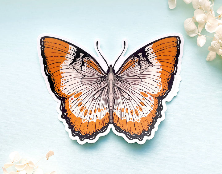 Mestra Dorcas Butterfly Clear Vinyl Sticker