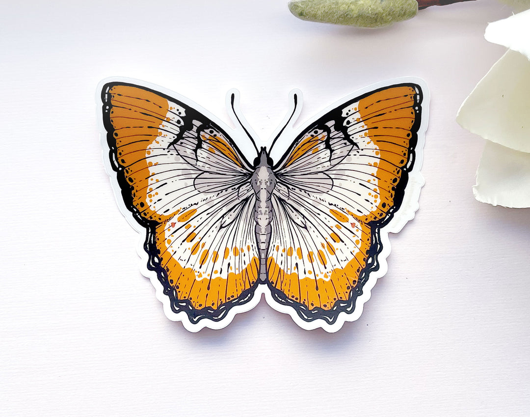 Mestra Dorcas Butterfly Clear Vinyl Sticker