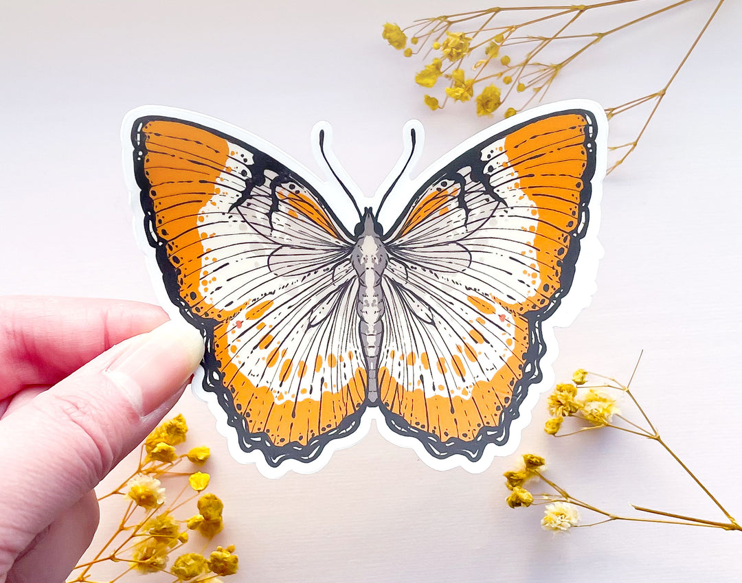 Mestra Dorcas Butterfly Clear Vinyl Sticker