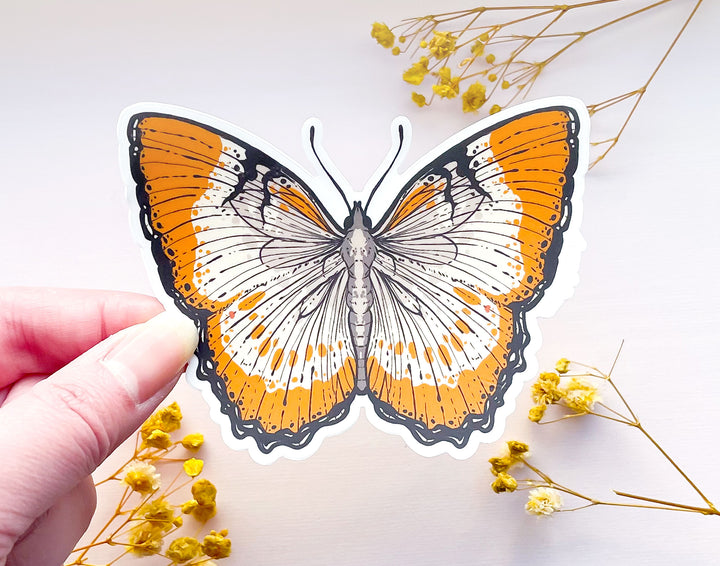 Mestra Dorcas Butterfly Clear Vinyl Sticker