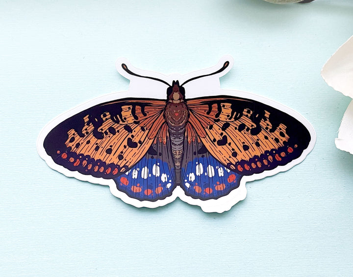 Regal Fritillary Butterfly Clear Vinyl Sticker
