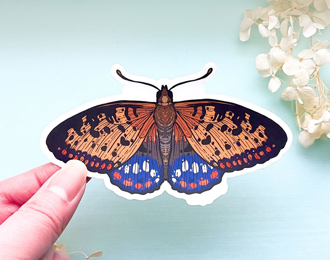 Regal Fritillary Butterfly Clear Vinyl Sticker