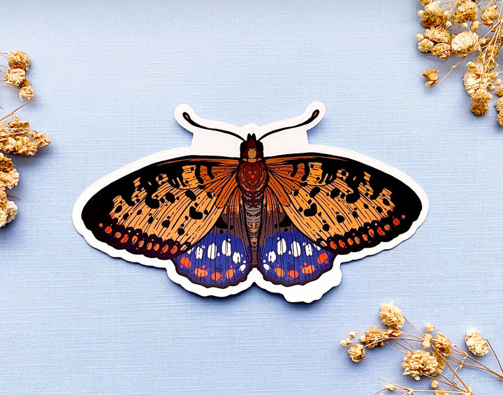 Regal Fritillary Butterfly Clear Vinyl Sticker