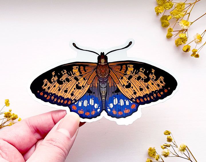 Regal Fritillary Butterfly Clear Vinyl Sticker