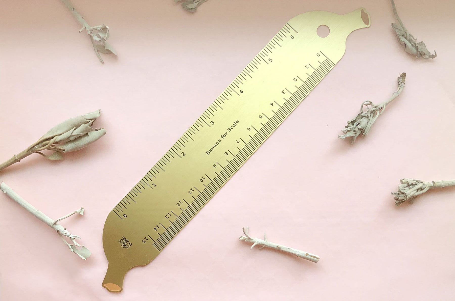 Banana Ruler Math Banana for Scale Ruler – Alum and Ink