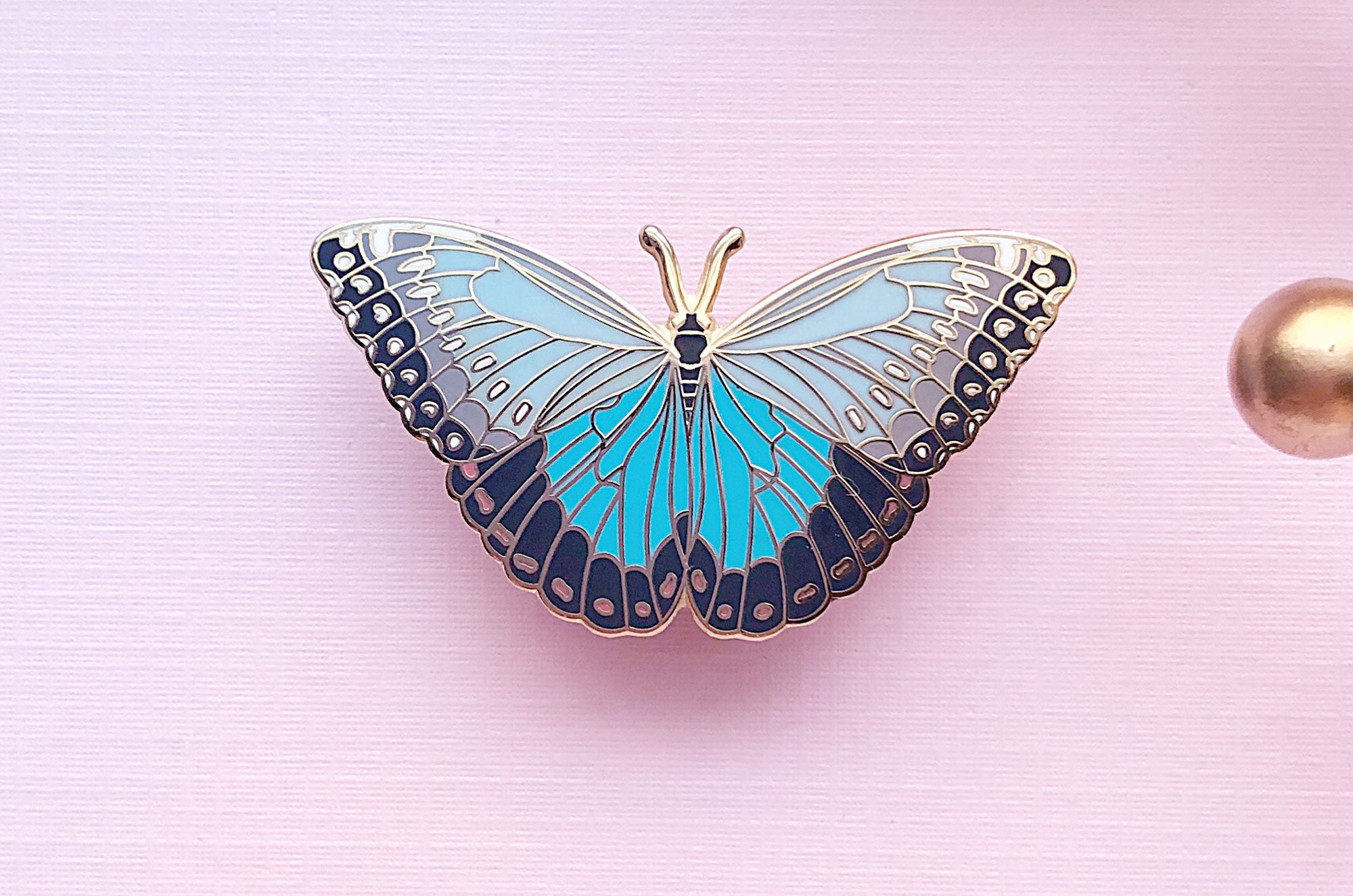 Blue Morpho Butterfly (Morpho peleides) Enamel Pin – Alum and Ink