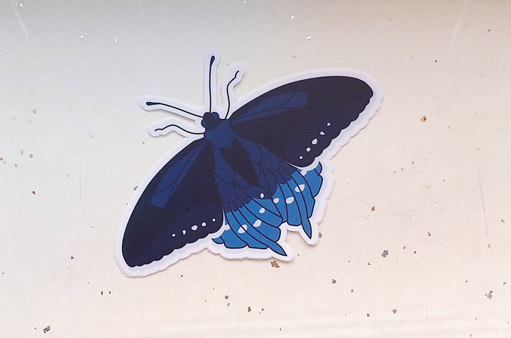 Pipevine Swallowtail Butterfly Vinyl Sticker