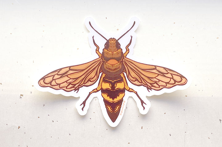 Cicada Hawk Wasp Clear Vinyl Sticker