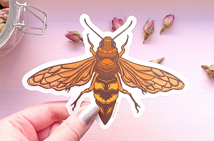 Cicada Hawk Wasp Clear Vinyl Sticker