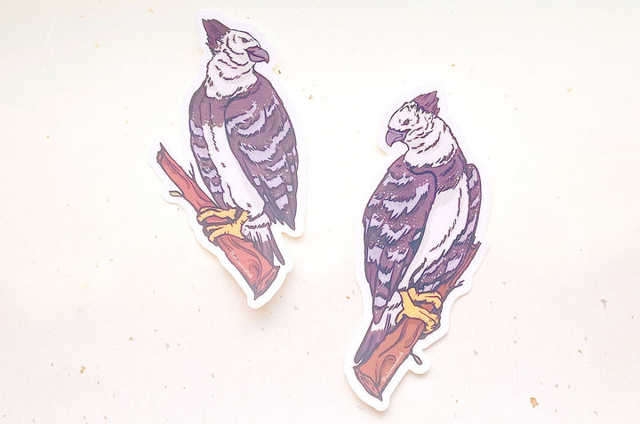 Harpy Eagles Clear Vinyl Sticker Set