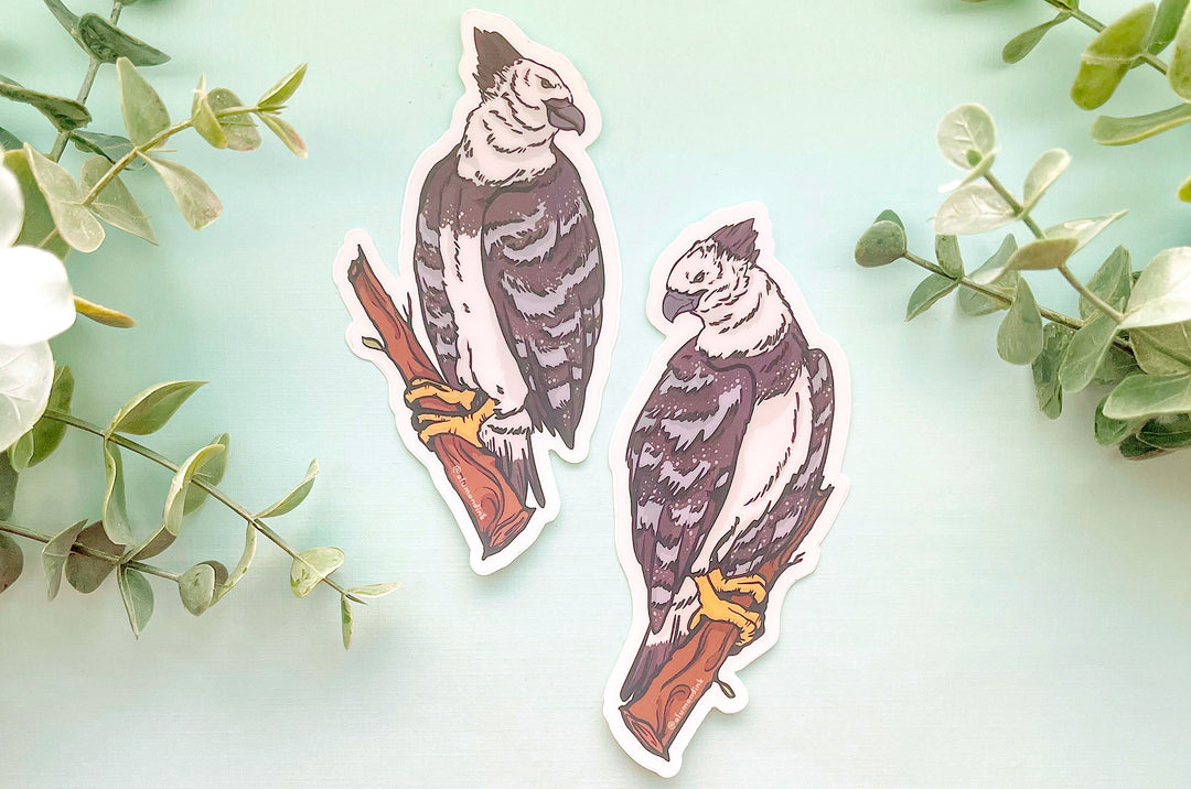 Harpy Eagles Clear Vinyl Sticker Set