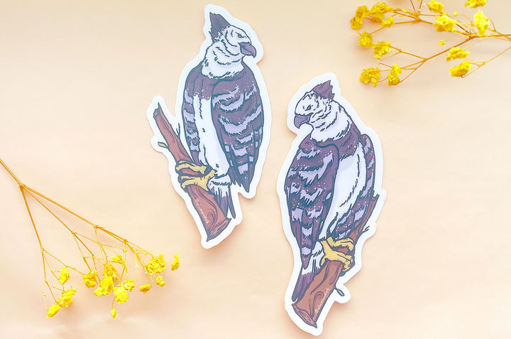 Harpy Eagles Clear Vinyl Sticker Set