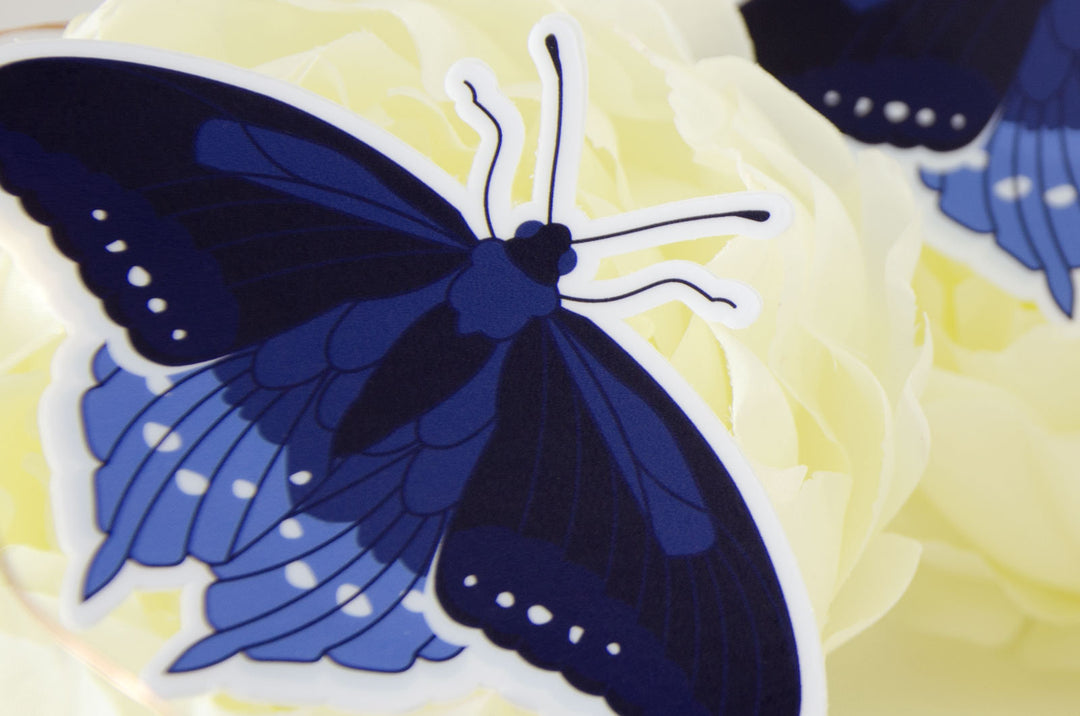 Pipevine Swallowtail Butterfly Vinyl Sticker 