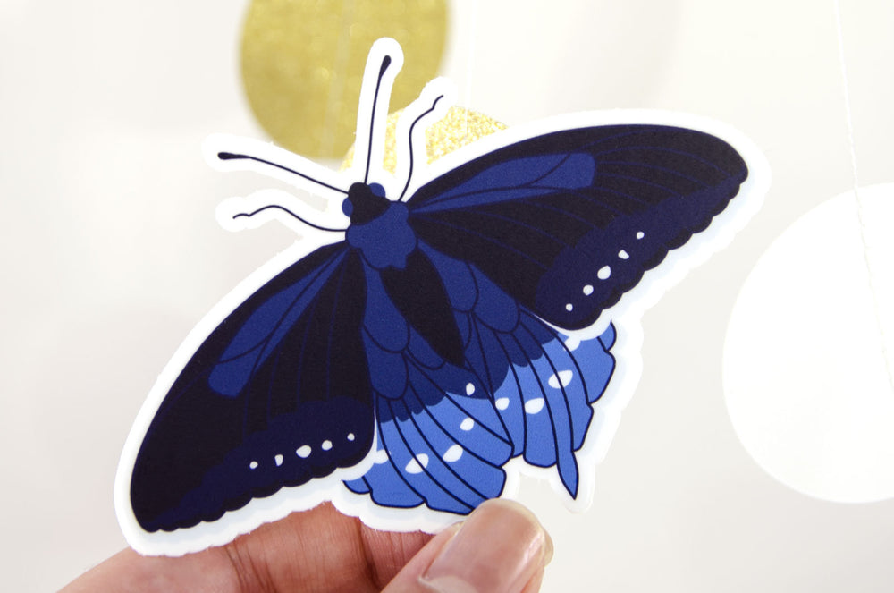 Pipevine Swallowtail Butterfly Vinyl Sticker 