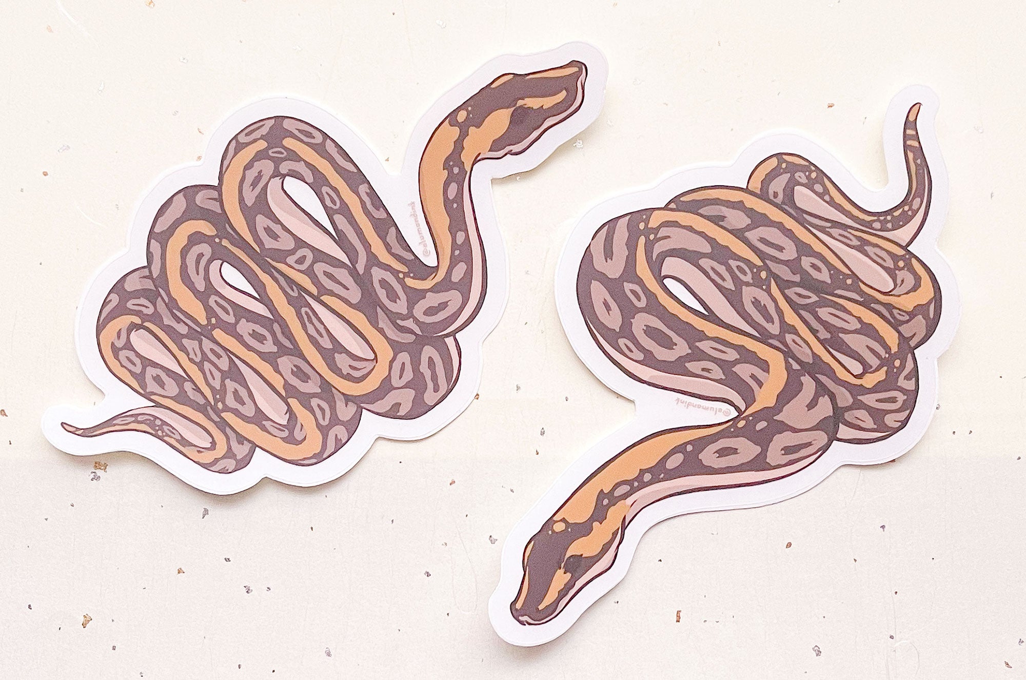 Ball Python Clear Vinyl Sticker Set – Alum and Ink
