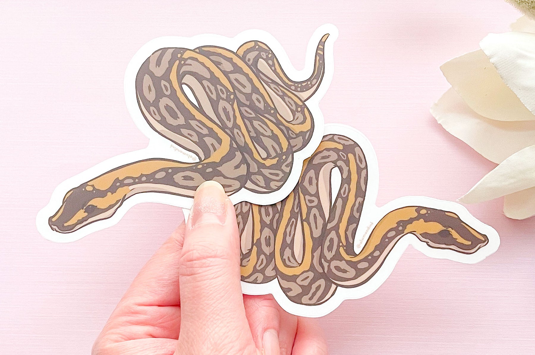 Ball Python Clear Vinyl Sticker Set – Alum and Ink