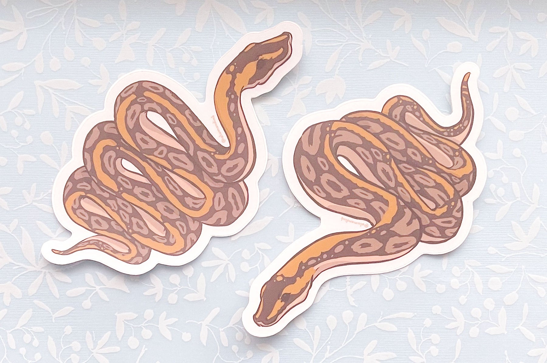 Ball Python Clear Vinyl Sticker Set – Alum and Ink