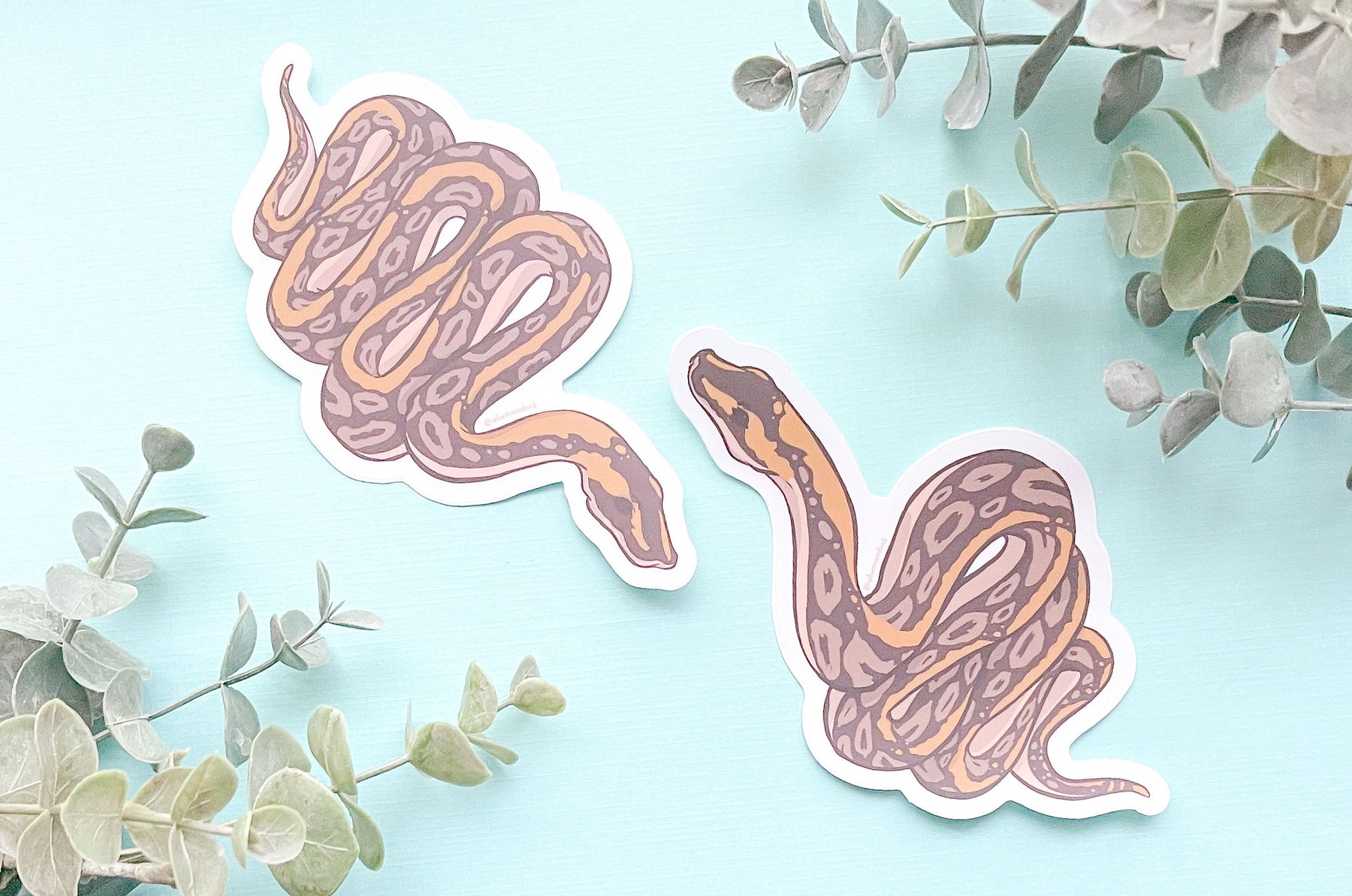 Ball Python Clear Vinyl Sticker Set – Alum and Ink